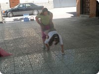 Foto13