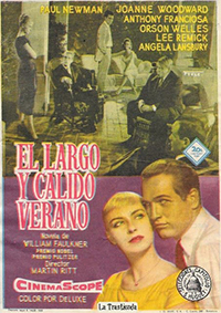 El largo y Calido Verano