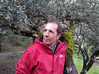 Rafael Canaillas