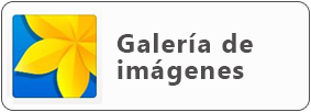 boton galeria imagenes